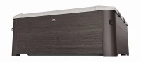 MSpa FRAME TRIBECA