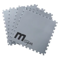 MSPA FRAME DUET